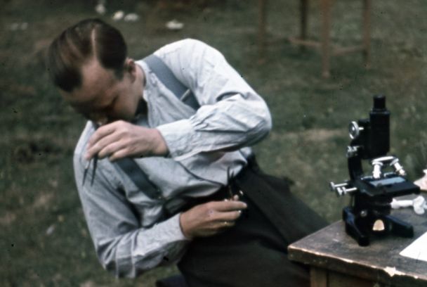 Hitler, el yonqui