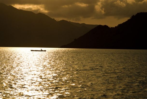 Islas venenosas