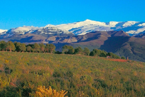 Andalucía verde