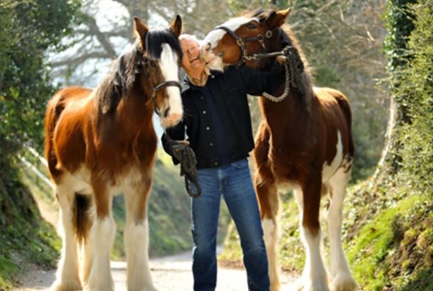Un hombre entre caballos