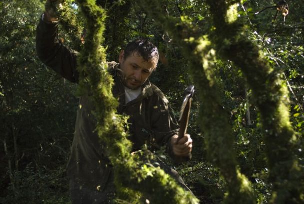 El bosc, el gran oblidat