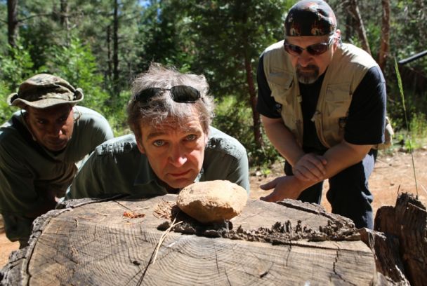 Expediente Bigfoot