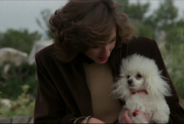 Caniche