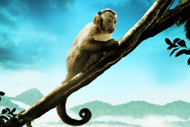 Cine