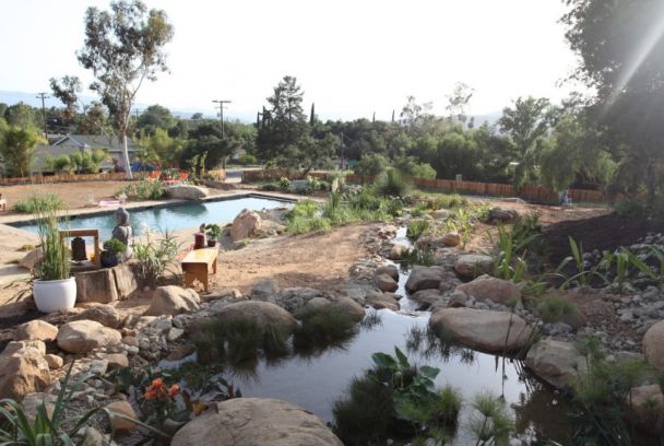 Piscinas insólitas
