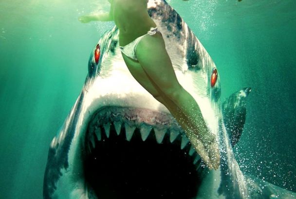 Tiburón fantasma