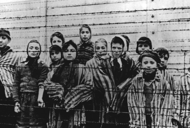 Viaje al interior del Holocausto