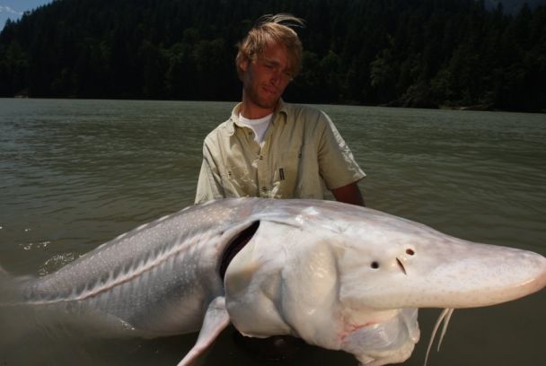 El pescador guerrero