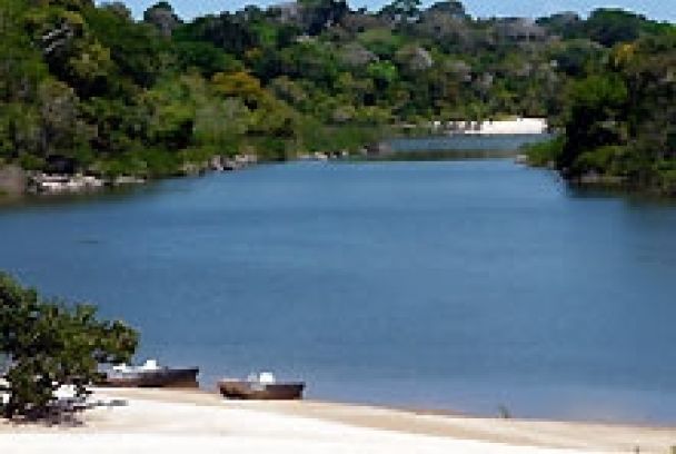 The fight for Amazonia