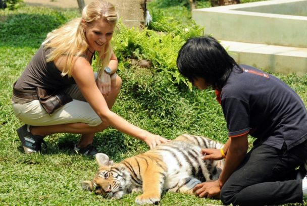 Dream Hotel: Chiang Mai