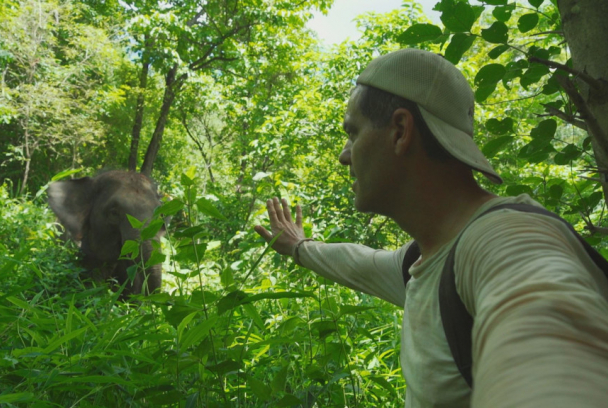 Wild Frank: El nacimiento de un elefante