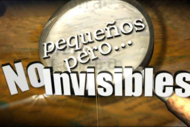 Pequeños, pero no invisibles