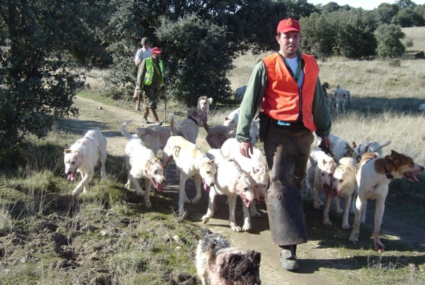 De montería