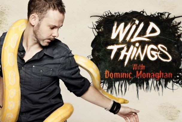 Buscando bichos con Dominic Monaghan