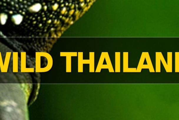 Tailandia salvaje