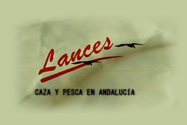 Lances
