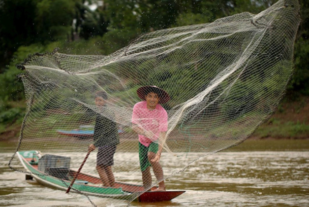 Grandes documentales: Sabores