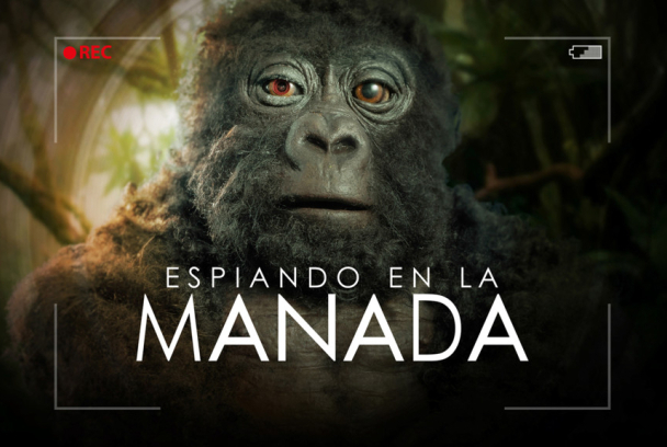Espiando en la manada