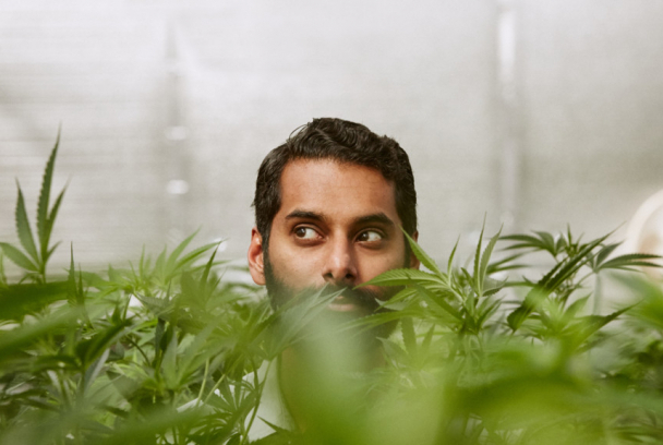Weediquette