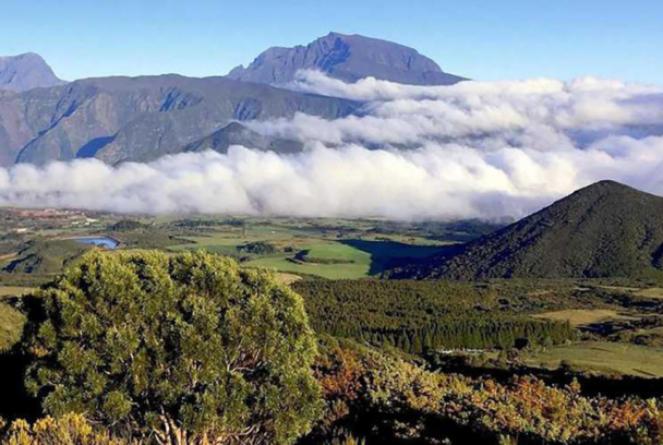 Volcans i homes