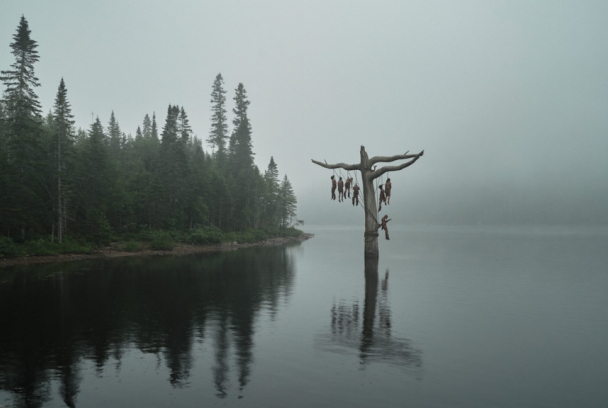 El bosque infinito