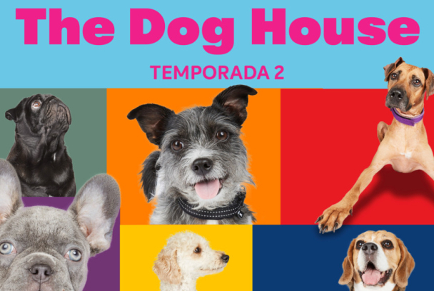 The dog house