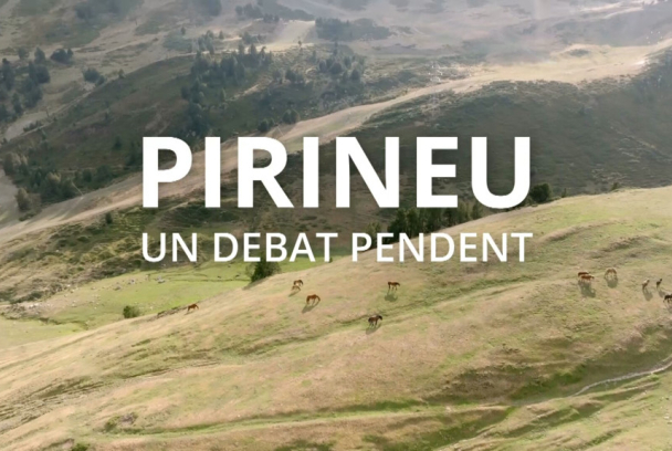 30 minuts: Pirineu, el debat pendent