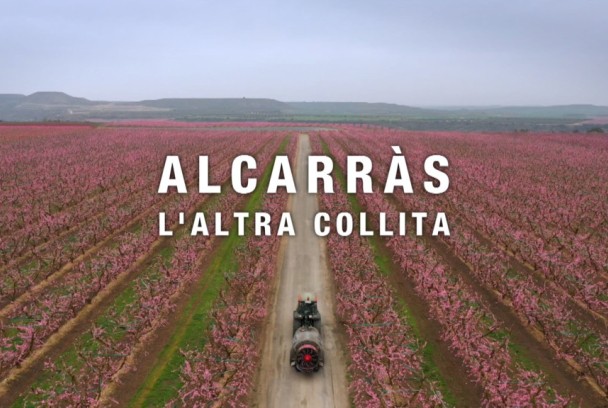 30 minuts: Alcarràs, l'altra collita