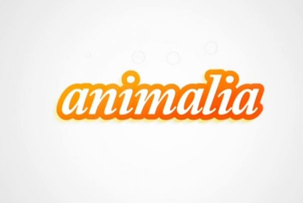 Animalia