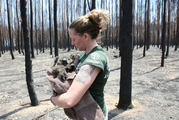 Australia en llamas: emergencia climática