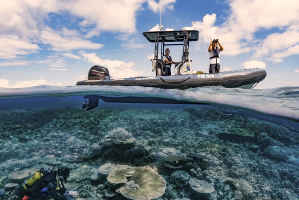 Australia: La Gran Barrera de Coral en peligro