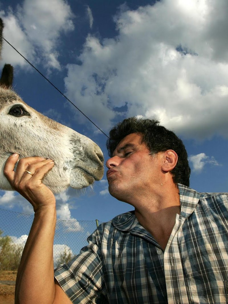 Bestial T1 Ep 13 SincroGuia TV