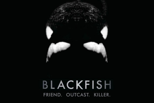 Blackfish