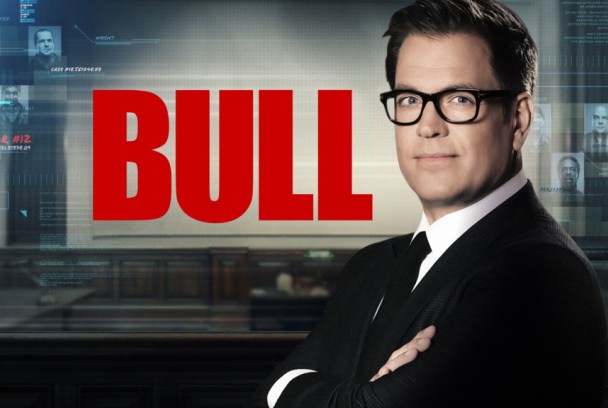 Bull