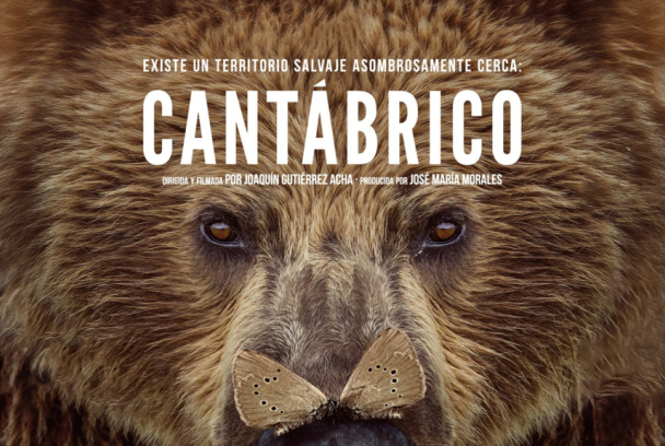 Cantábrico: Los dominios del oso pardo