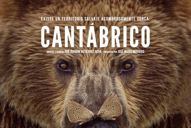 Cantábrico: Los dominios del oso pardo