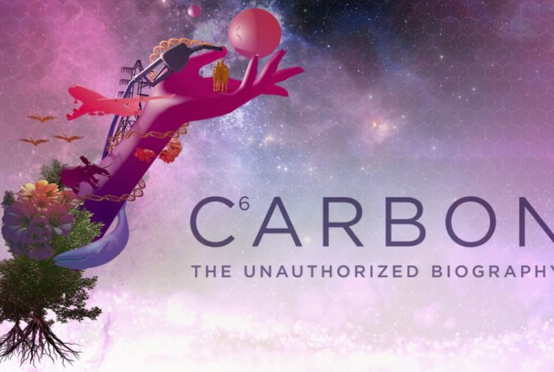 Carbono: la biografia no autorizada