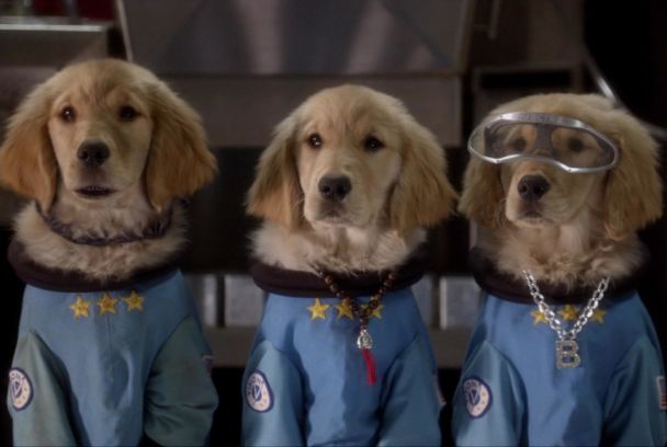 Cachorros en el espacio