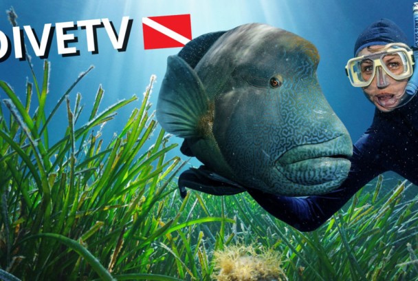 DiveTV