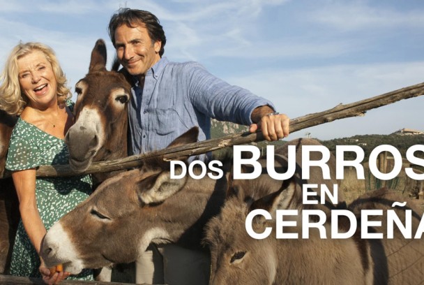 Dos burros en Cerdeña