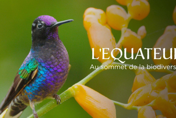 Ecuador en la cima de la biodiversidad