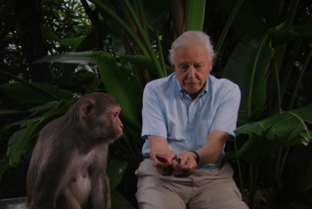 El ascenso de los animales con David Attenborough