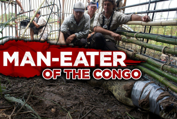El ataque del cocodrilo del río Congo