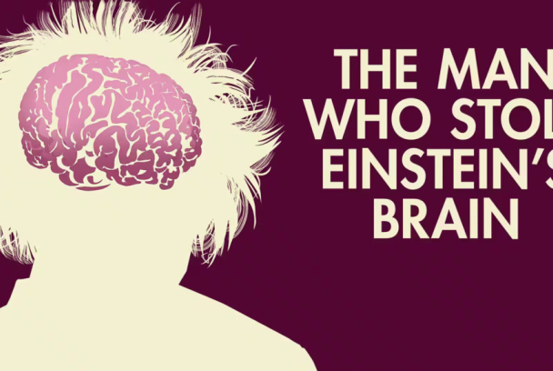El hombre que robó el cerebro de Einstein