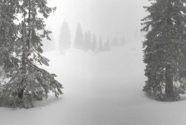 El blanco invierno, estación en el borde alpino
