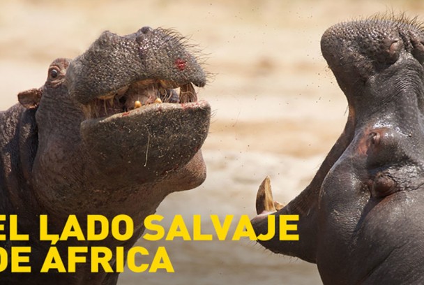 El lado salvaje de África