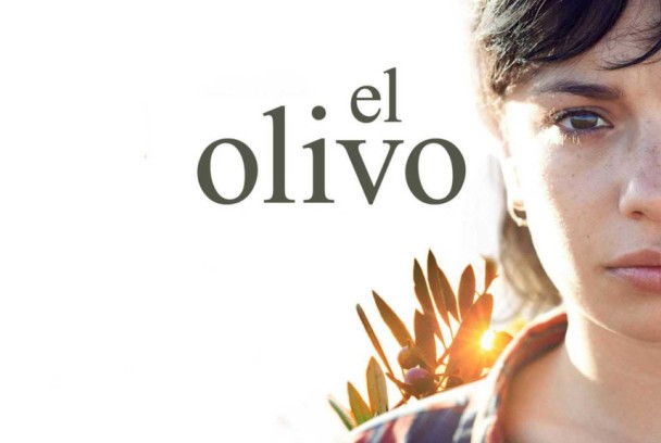 El olivo