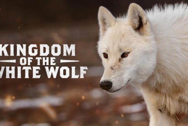 El reino del lobo blanco