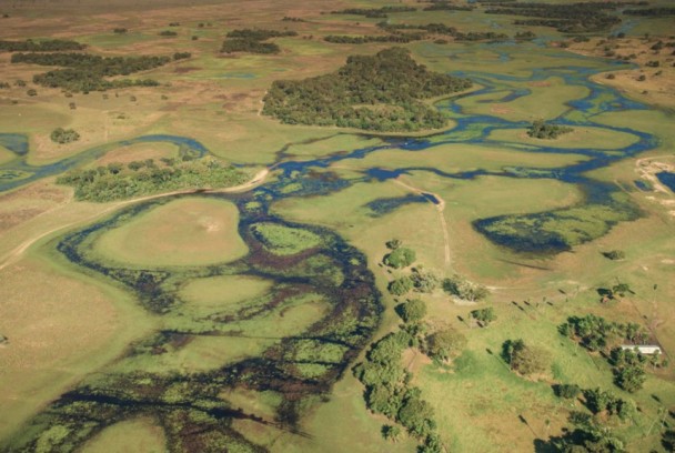 El río del cielo