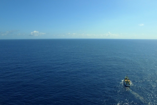 En el mar: una inmersión en el conocimiento